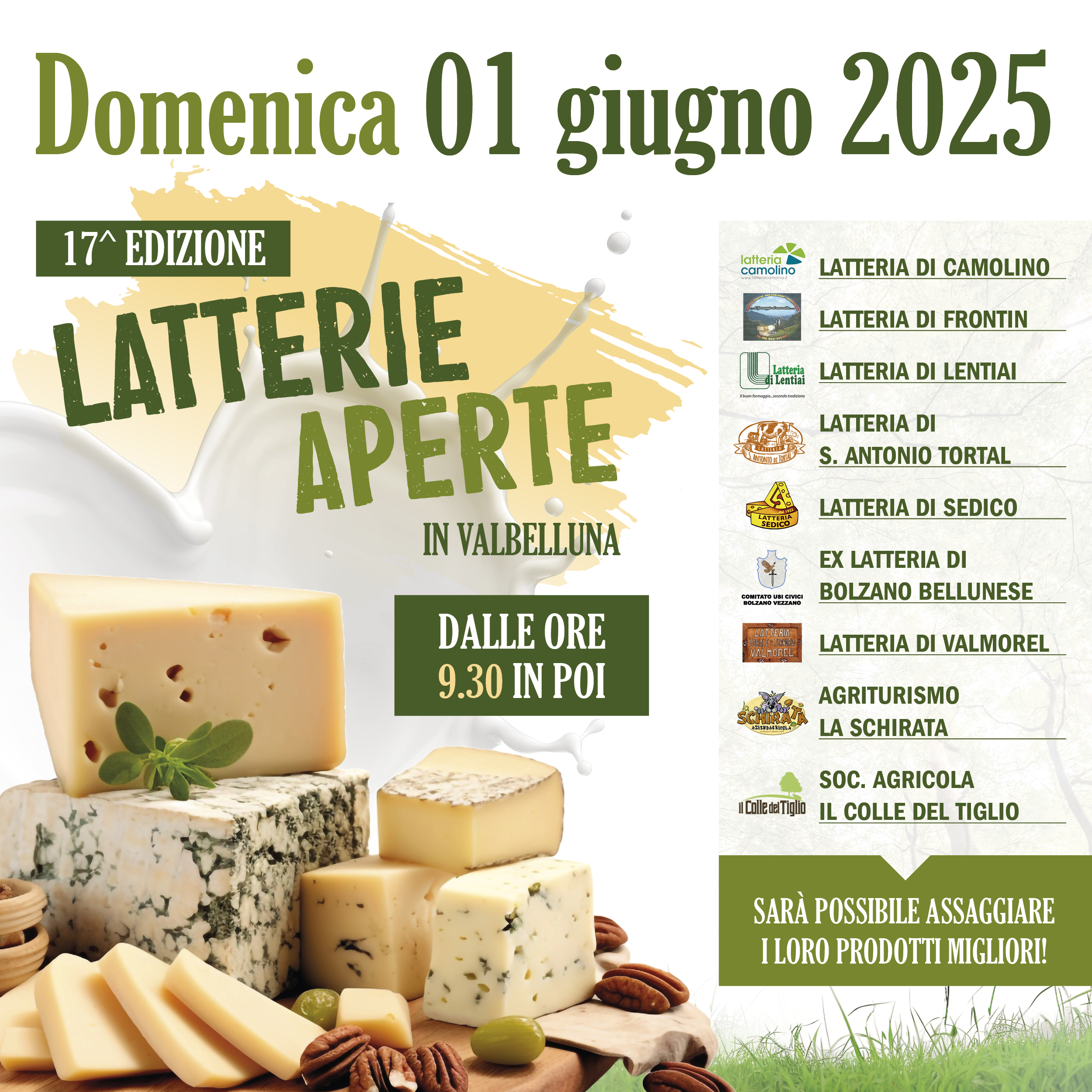 Immagine anteprima