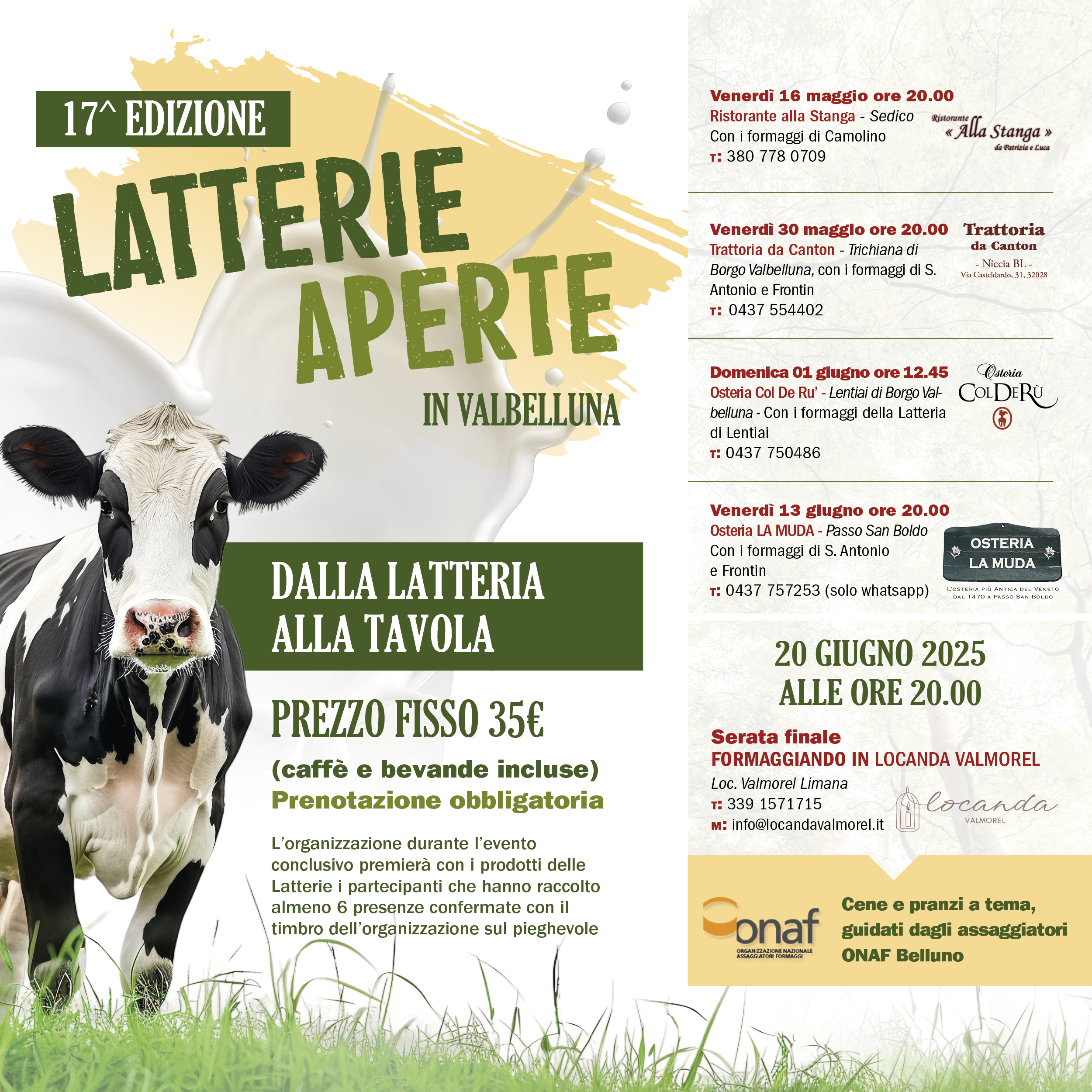 Immagine anteprima