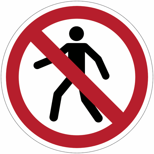 Immagine anteprima