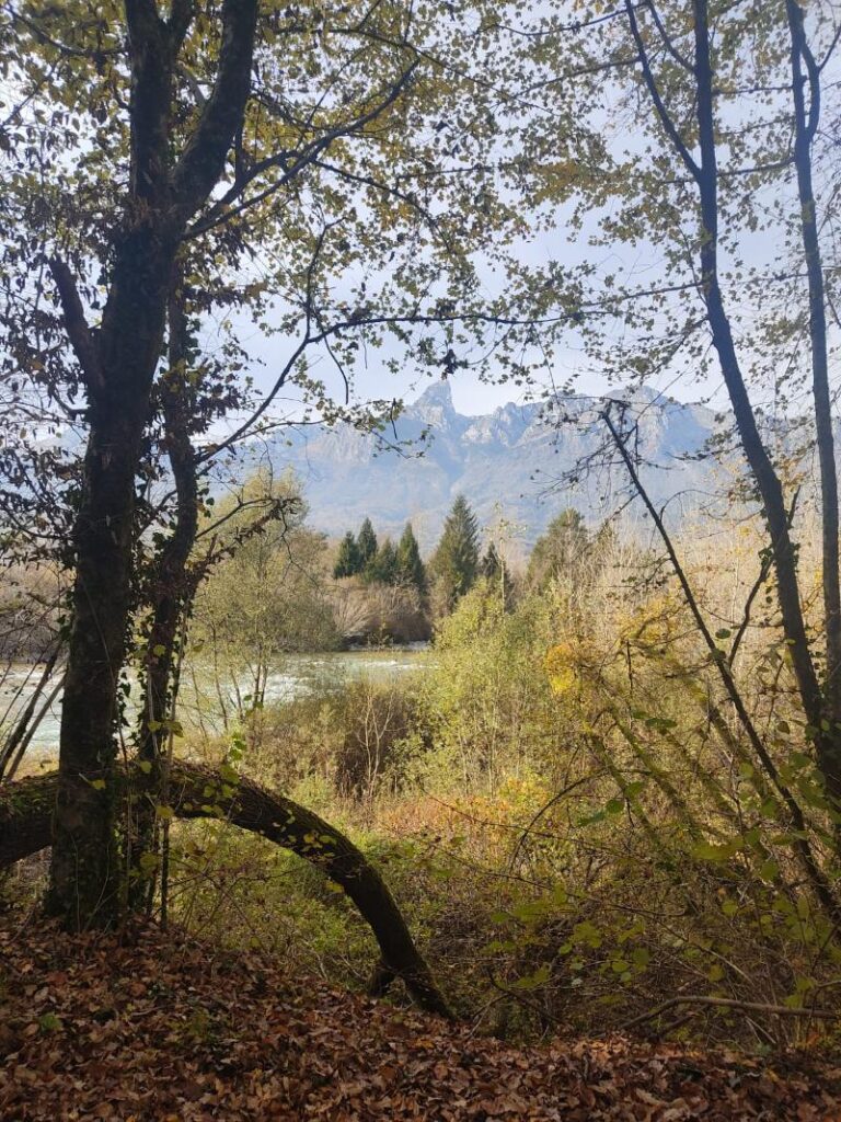 Il bacio del bosco all'autunno