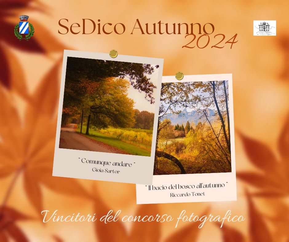 Immagine anteprima